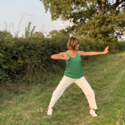 stage qi gong